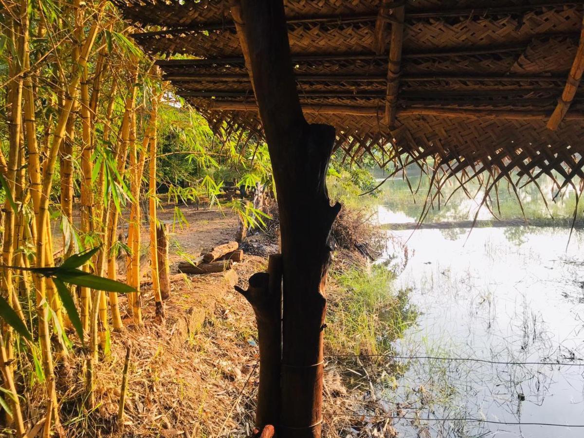 Aliya Riverside & Safari Resort Udawalawe Εξωτερικό φωτογραφία