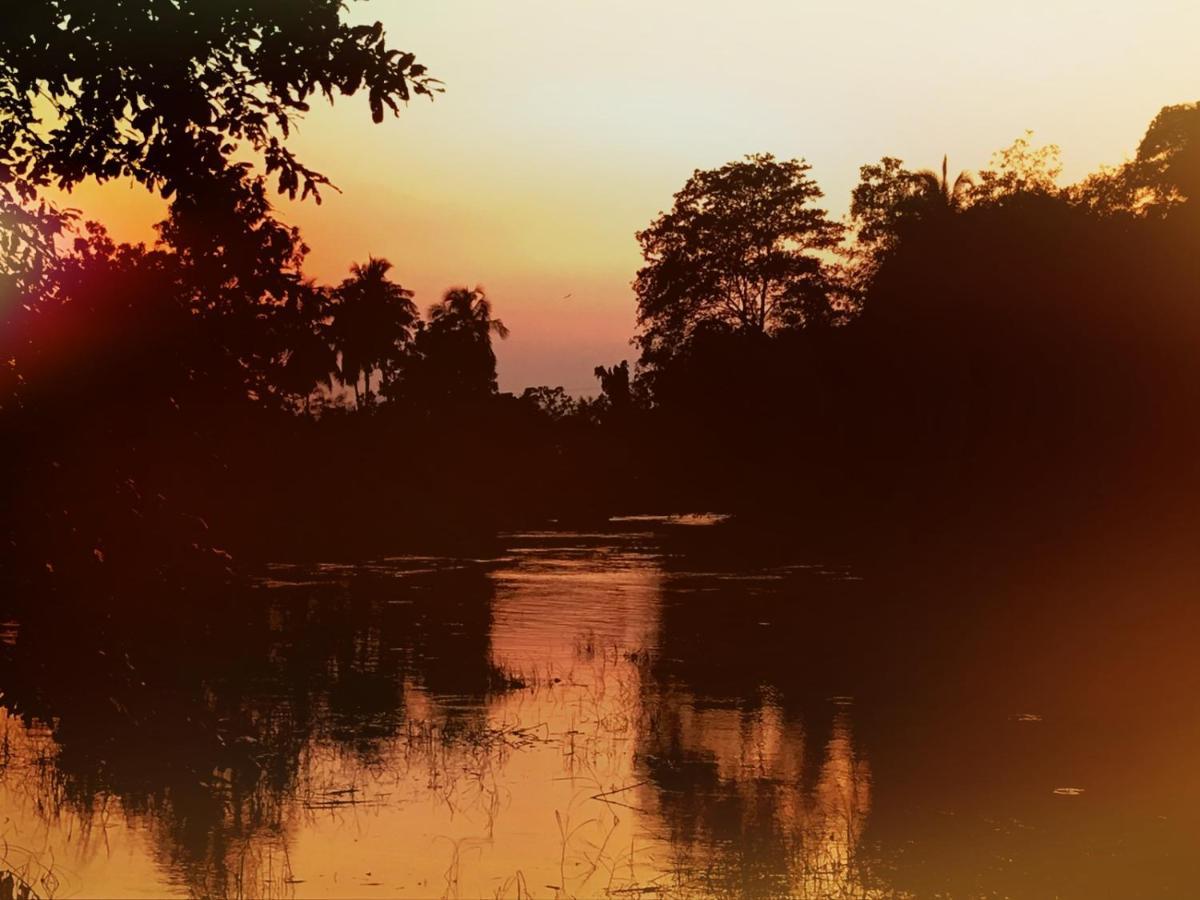 Aliya Riverside & Safari Resort Udawalawe Εξωτερικό φωτογραφία
