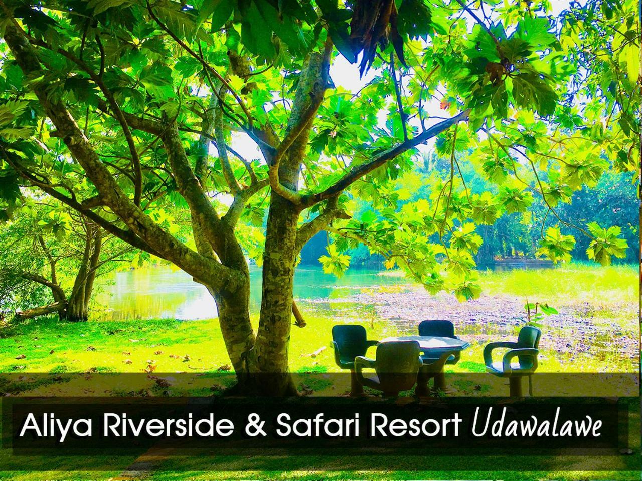 Aliya Riverside & Safari Resort Udawalawe Εξωτερικό φωτογραφία