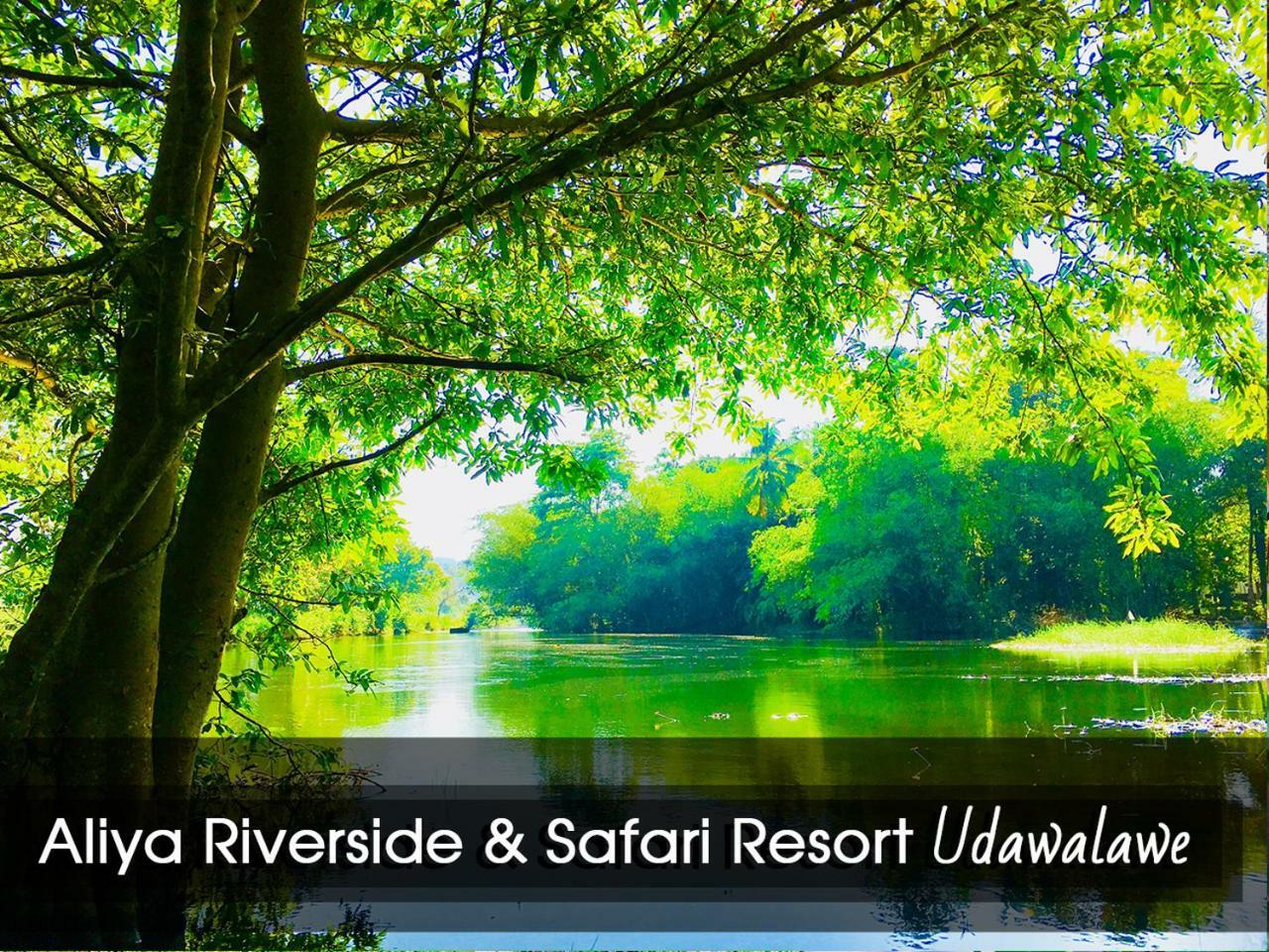 Aliya Riverside & Safari Resort Udawalawe Εξωτερικό φωτογραφία