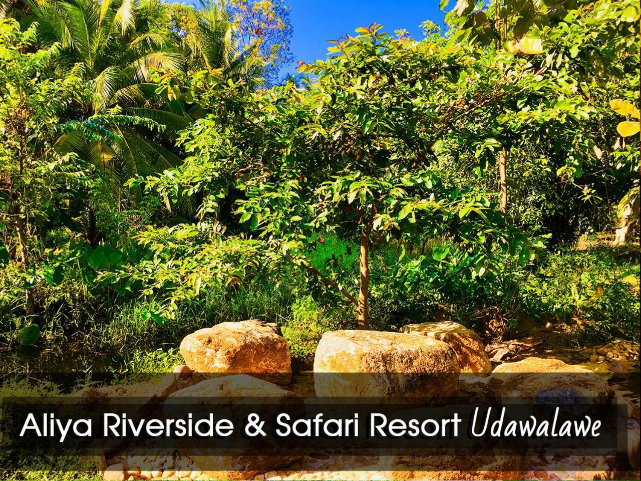 Aliya Riverside & Safari Resort Udawalawe Εξωτερικό φωτογραφία