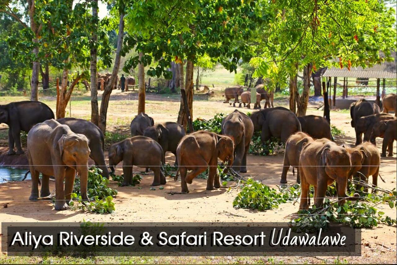 Aliya Riverside & Safari Resort Udawalawe Εξωτερικό φωτογραφία