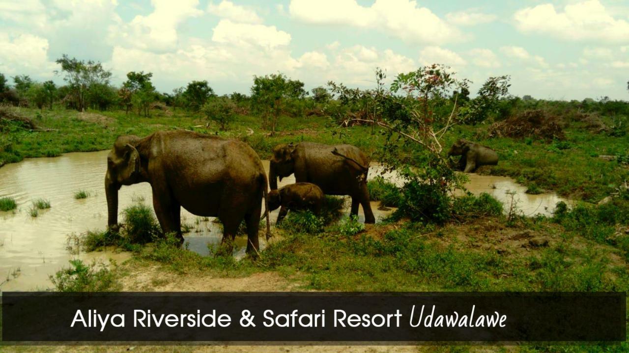 Aliya Riverside & Safari Resort Udawalawe Εξωτερικό φωτογραφία