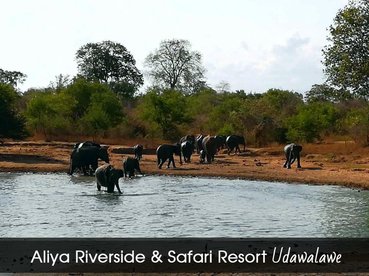 Aliya Riverside & Safari Resort Udawalawe Εξωτερικό φωτογραφία