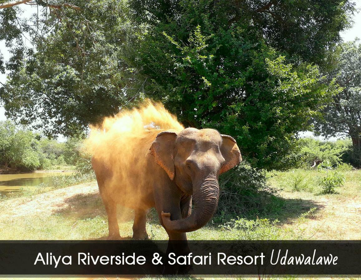 Aliya Riverside & Safari Resort Udawalawe Εξωτερικό φωτογραφία