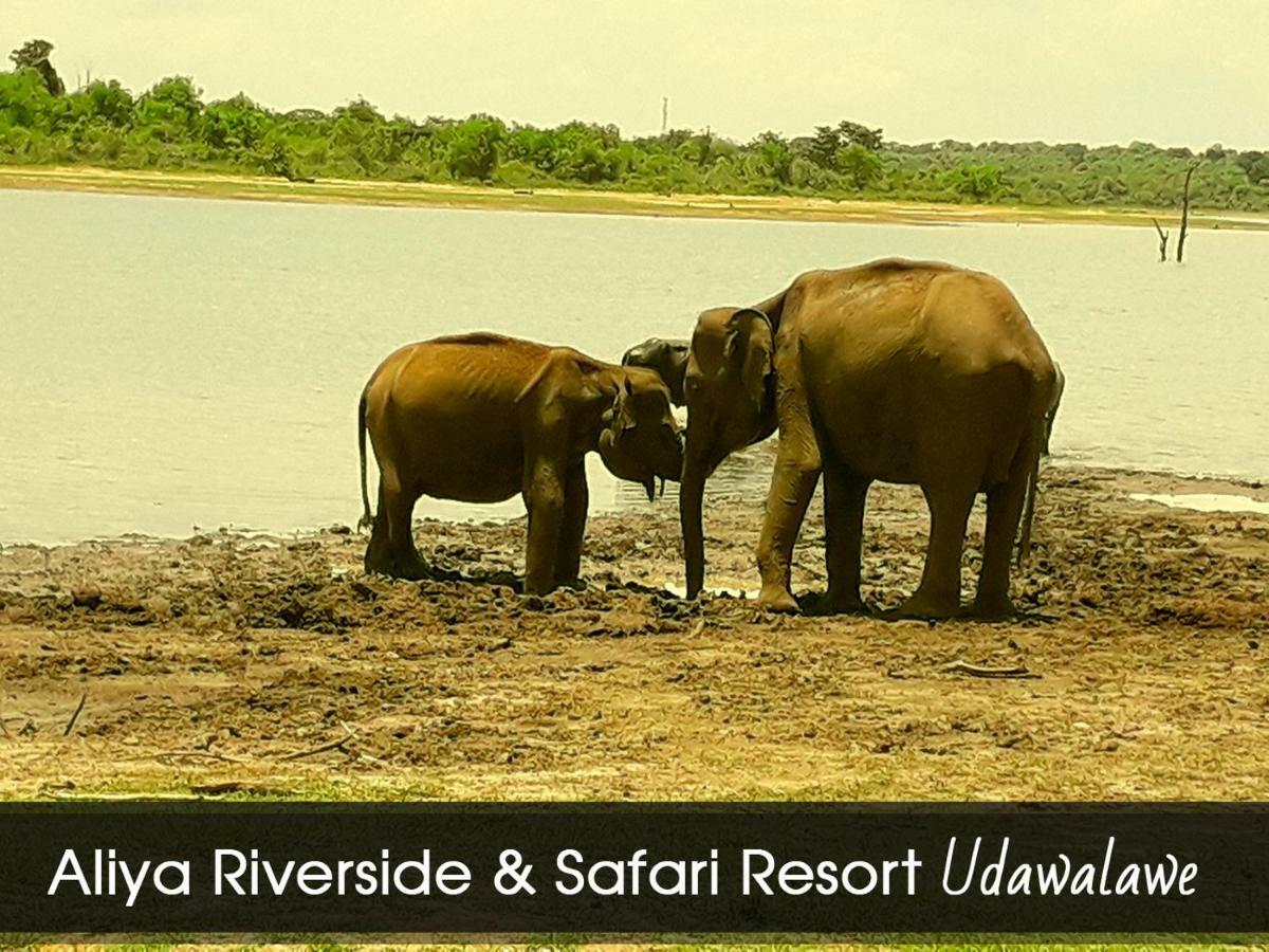 Aliya Riverside & Safari Resort Udawalawe Εξωτερικό φωτογραφία