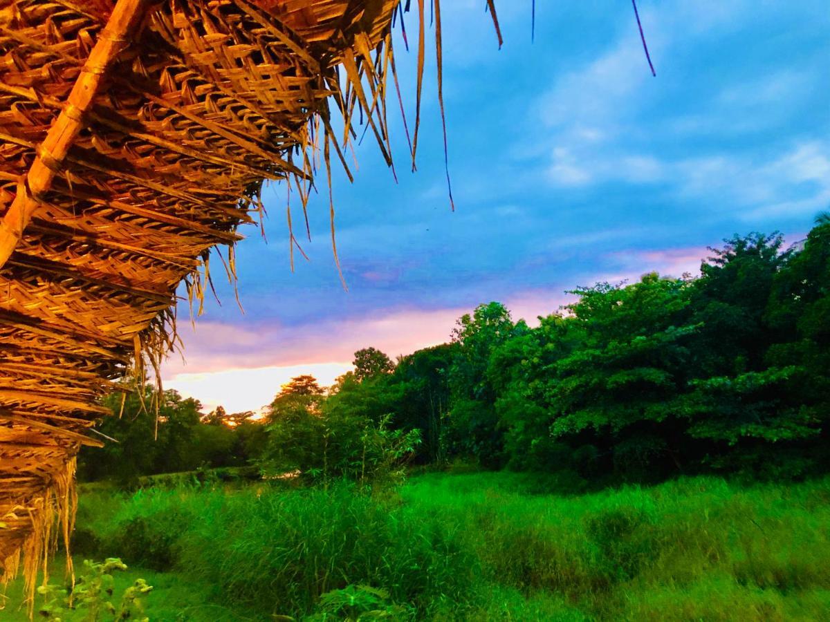 Aliya Riverside & Safari Resort Udawalawe Εξωτερικό φωτογραφία